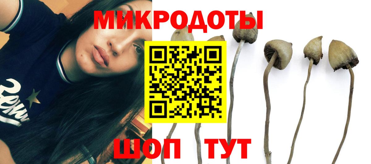 Пенза  Галлюциногенные грибы прущие грибы  Вход с VPN 